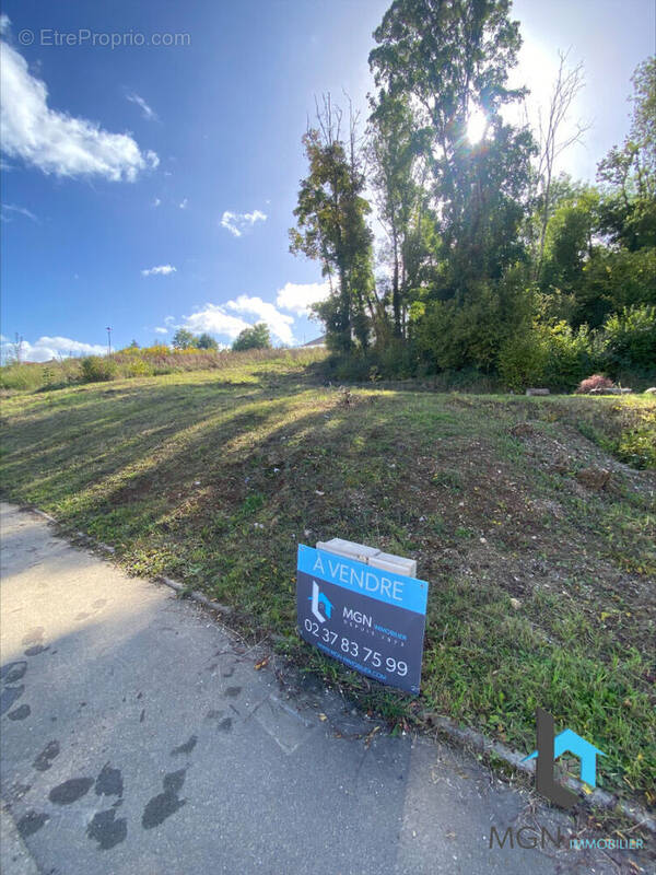 Terrain à NOGENT-LE-ROI