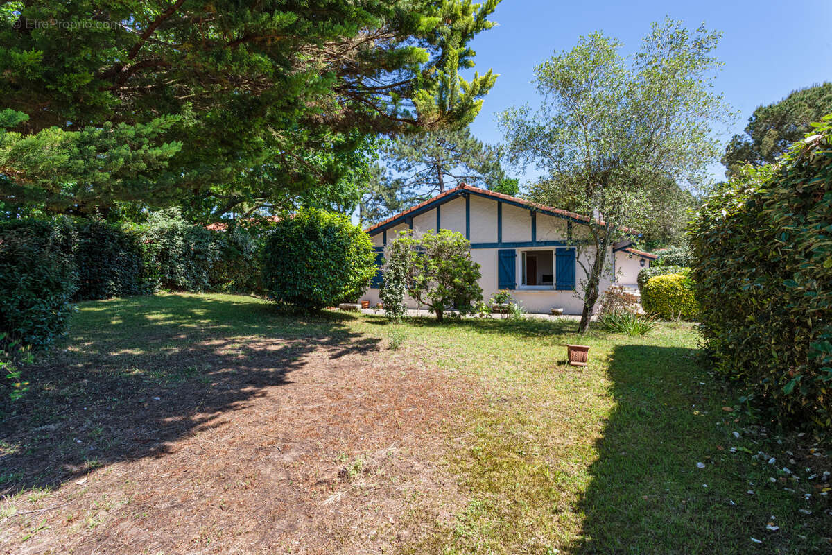 Maison à ANGLET