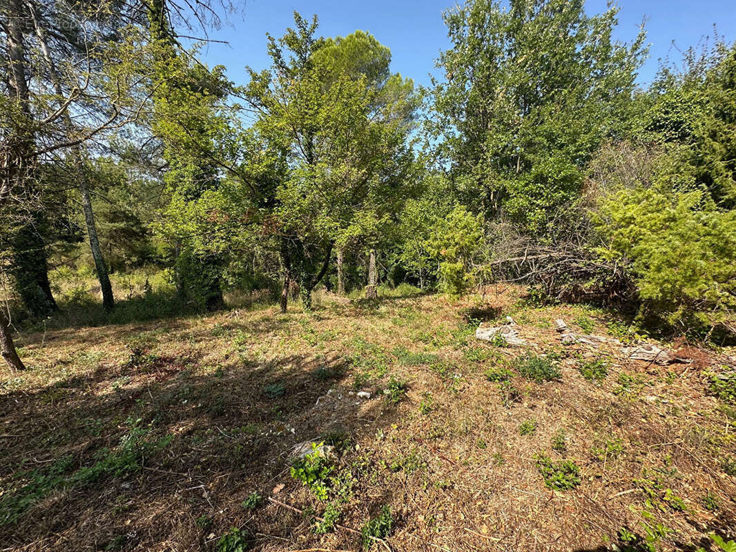 Terrain à CALLIAN