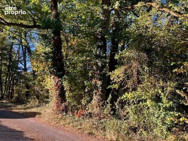 Photo Terrain à Saint-Martial-De-Nabirat au prix de 30 000€