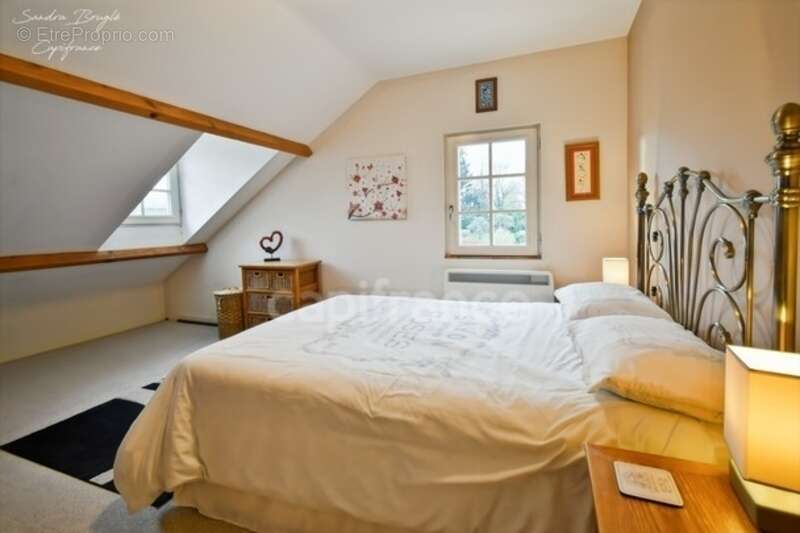 Maison à vendre 8 pièces Maison 228 m2  SAINTE GEMMES LE ROBERT (53) - photo 12
