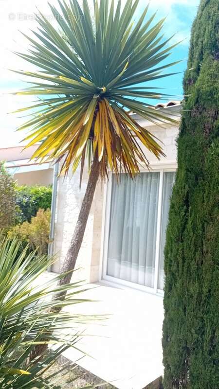 Maison à LES MATHES