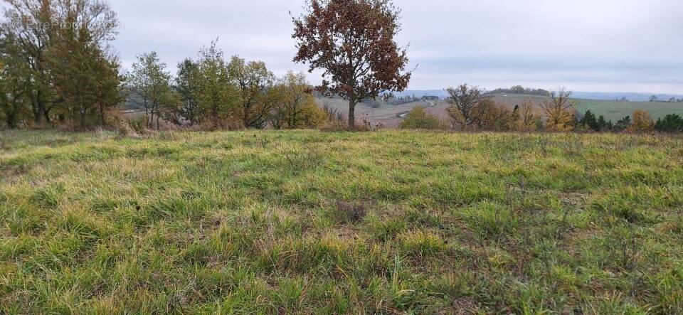 Terrain à L'ISLE-EN-DODON