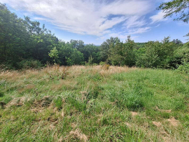 Maison à GAGNAC-SUR-CERE