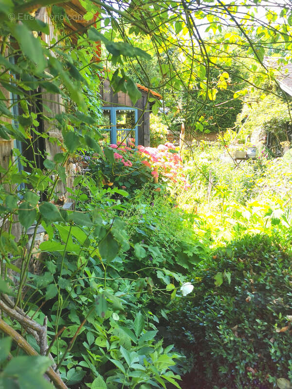 Maison d'artiste avec jardin botanique, source - Terrain 1,6 hectare - photo 15