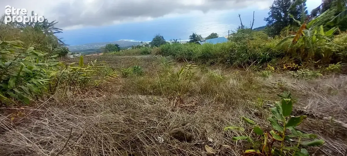Terrain 1397 m² à Saint-Leu  - photo 5