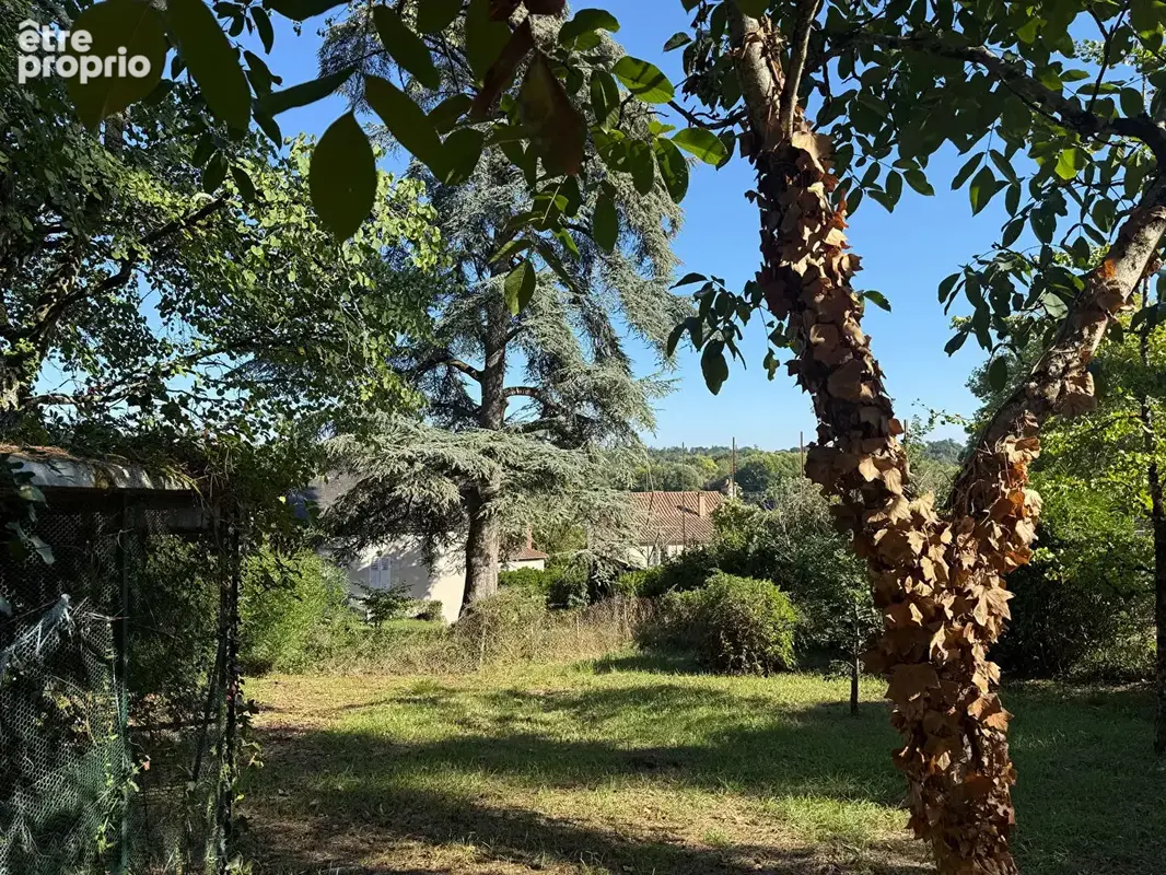 L'ecrin des pins - liguge - photo 4