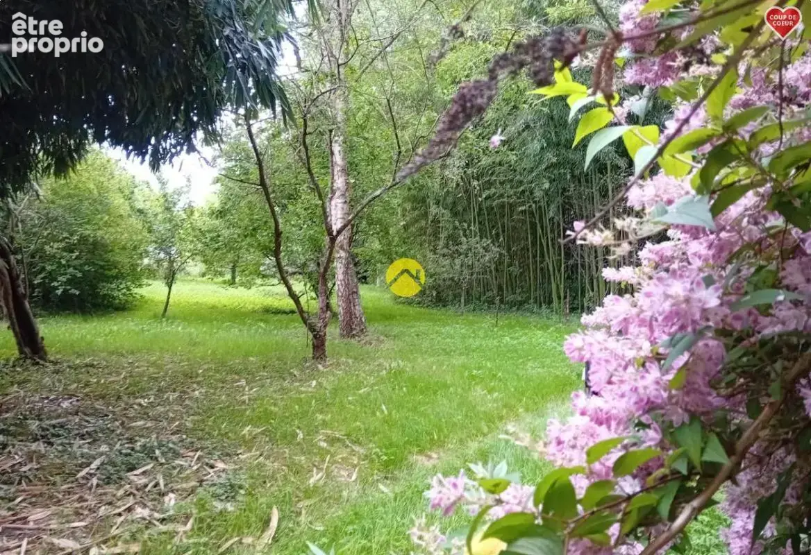 Et au milieu coule la rivière - photo 10