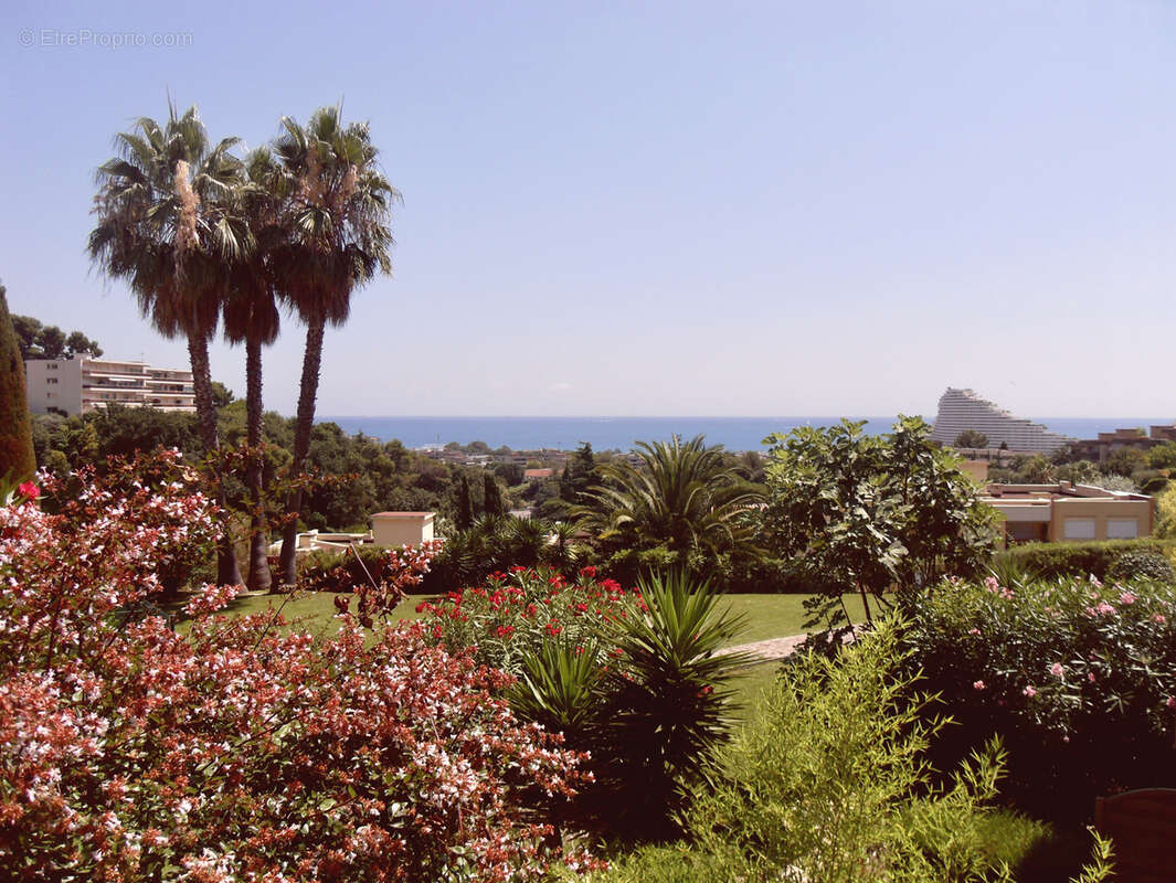 Appartement à VILLENEUVE-LOUBET