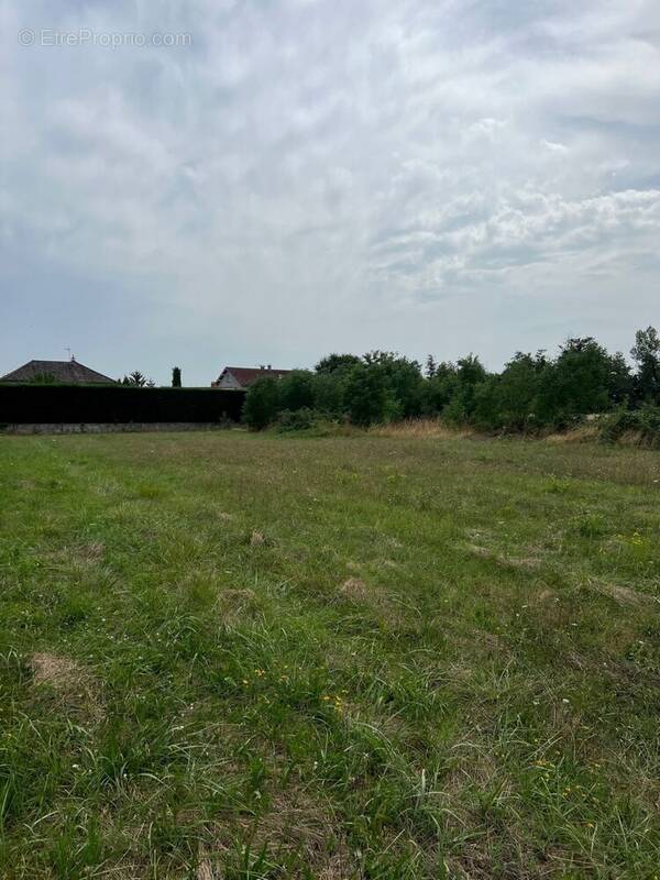 Terrain à SAINT-CYPRIEN