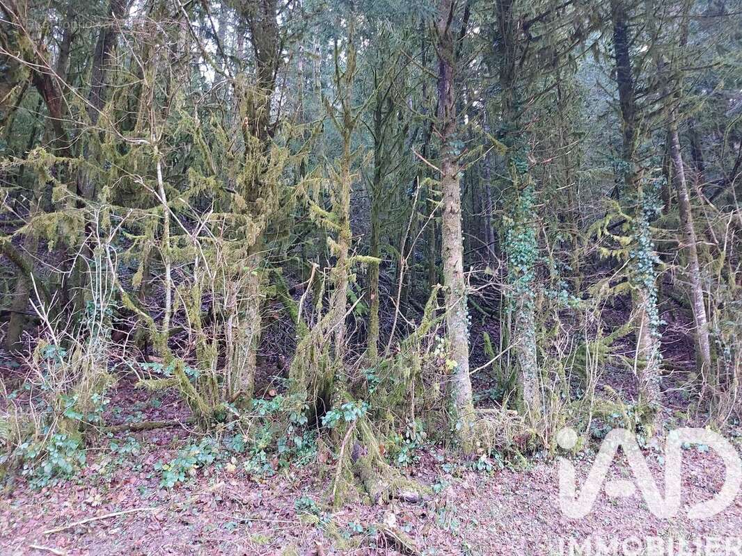 Photo 3 - Terrain à NANCUISE