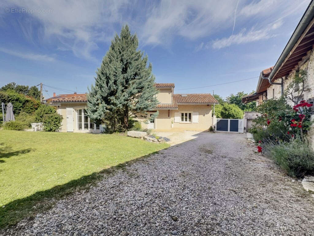 01160   Sur les hauteurs de Pont-d'Ain : Maison familiale rénovée avec dépendance de 300 m2 et garage de 70m2 - photo 4