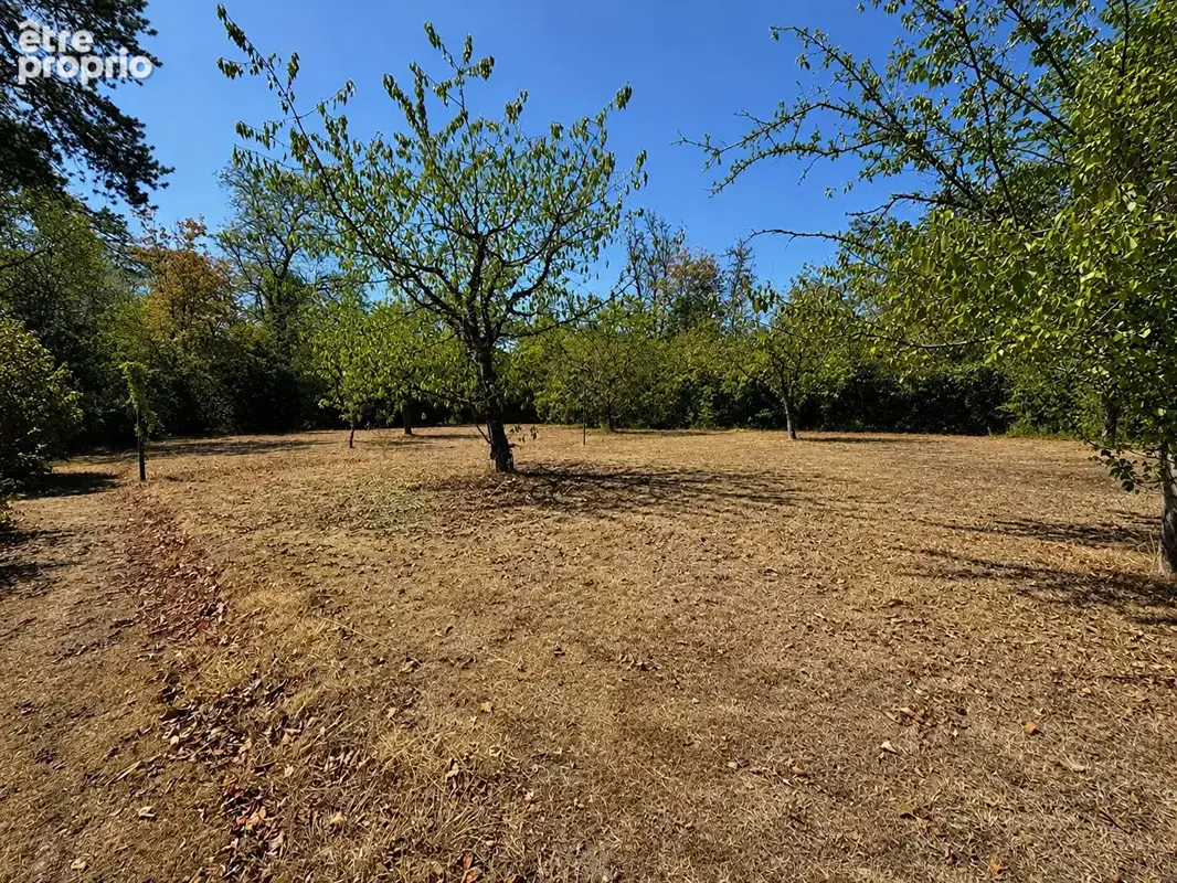 Maison 340m² à draveil - photo 18