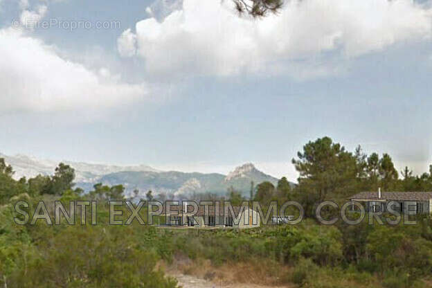 Terrain à SARI-SOLENZARA