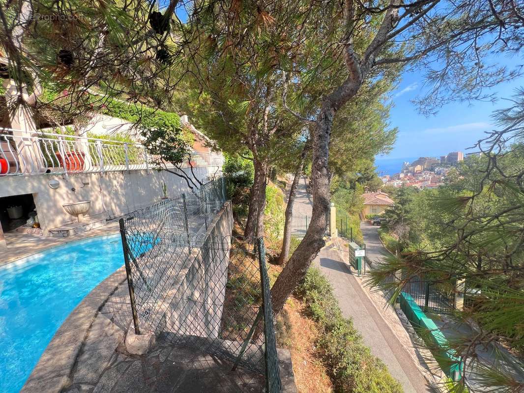 Villa proche de MONACO, calme - photo 4