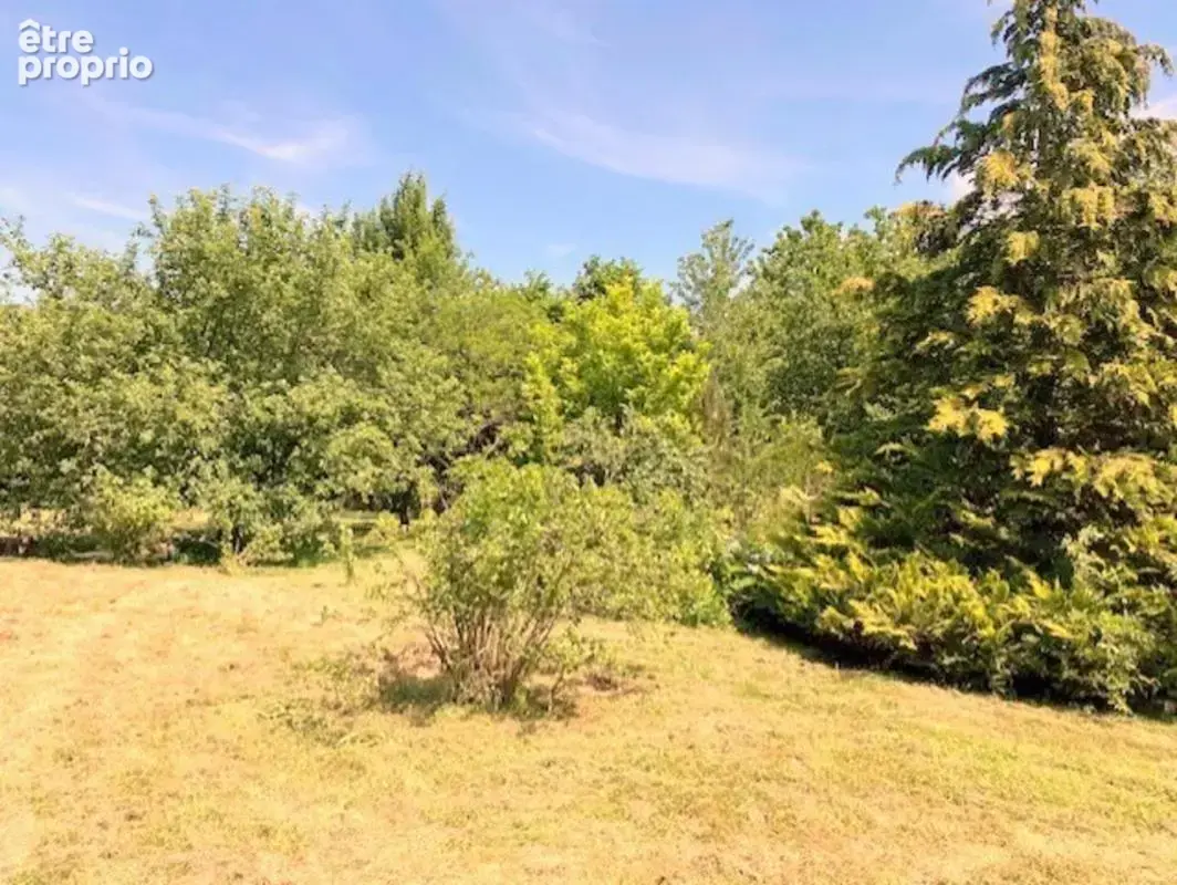 Authentique - photo 23