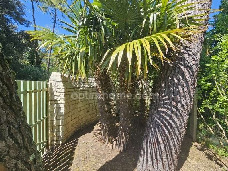 Maison à RIVEDOUX-PLAGE