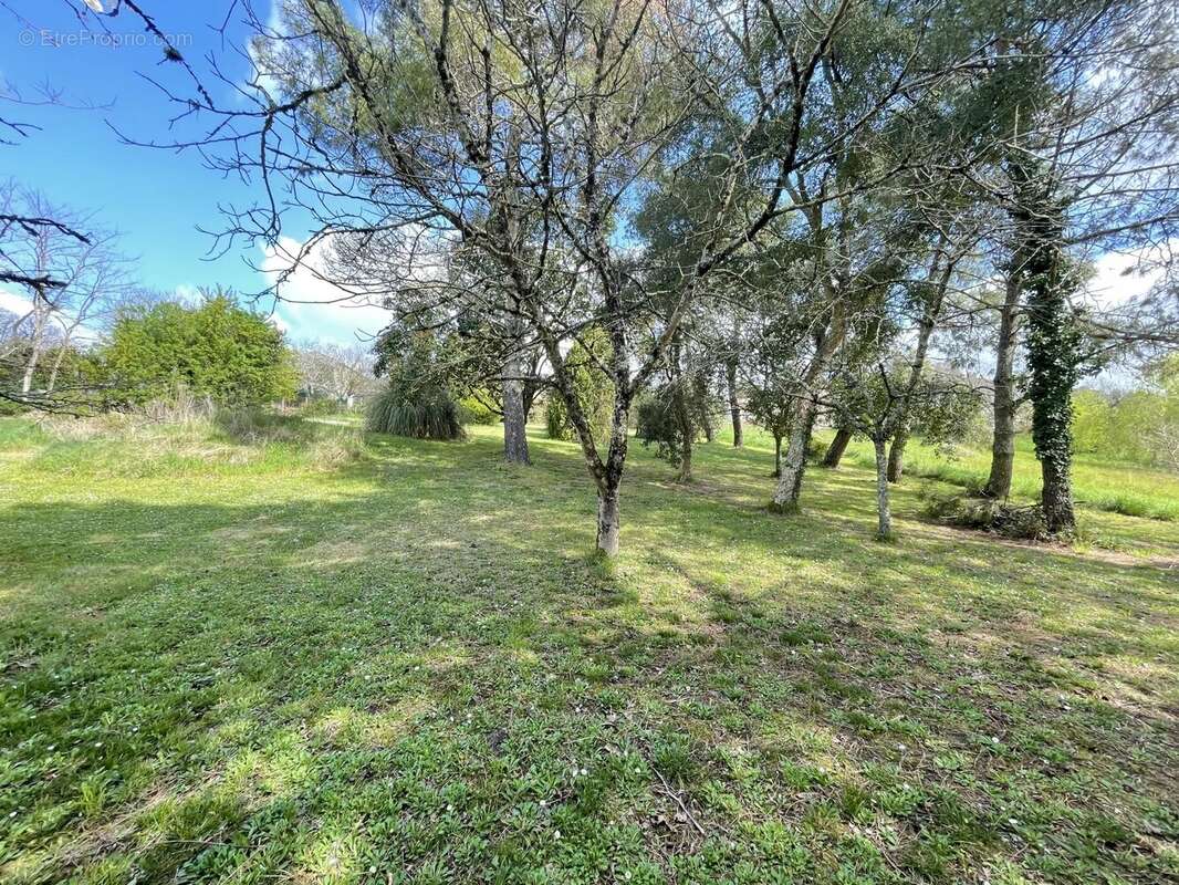 Appartement à XAINTRAILLES