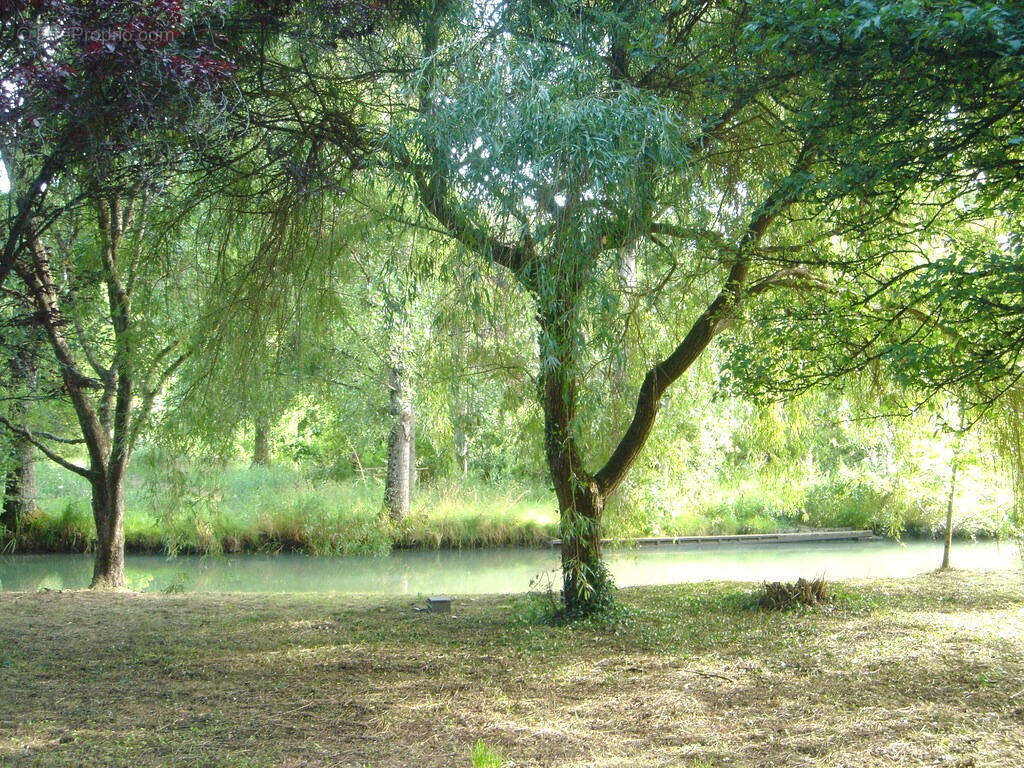 22/07/26 - FIELD