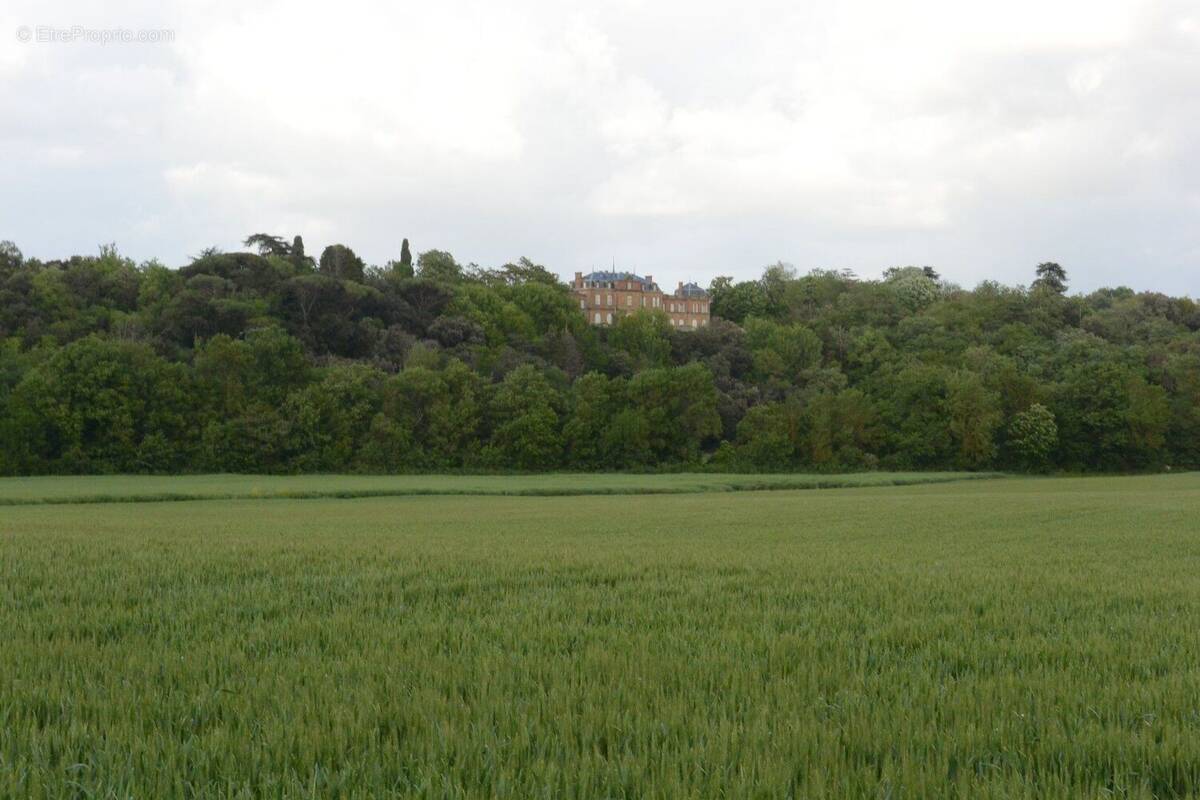 Photo 1 - Terrain à GIMONT