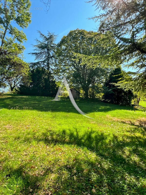 Maison à SAINT-AMANS-DU-PECH