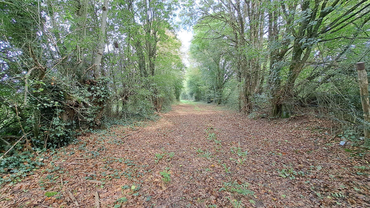 Terrain à AMAILLOUX