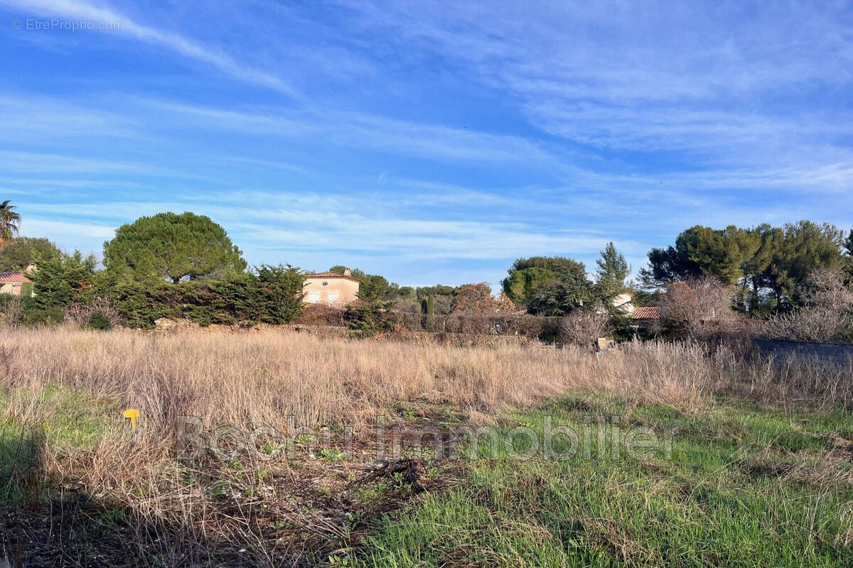 Terrain à CASTELNAU-LE-LEZ