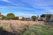 Terrain à CASTELNAU-LE-LEZ