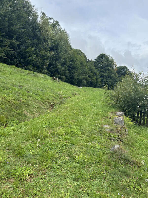 IMG_0843 - Maison à LE MENIL