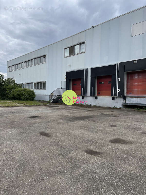 Commerce à DUPPIGHEIM