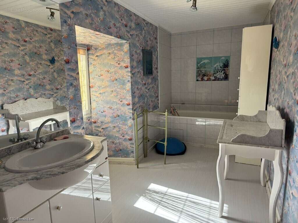 Maison à VERTEUIL-SUR-CHARENTE