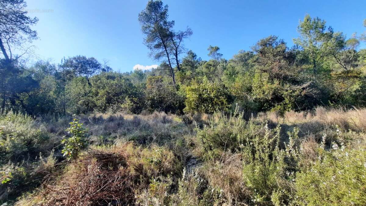 Terrain à CARNAS