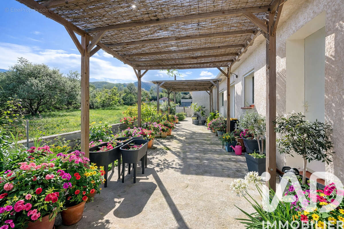 Photo 3 - Maison à BANYULS-SUR-MER