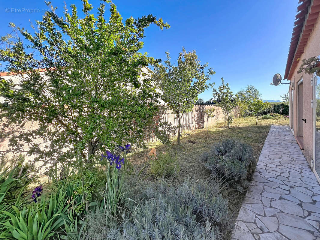 Maison à SAINTE-MARIE