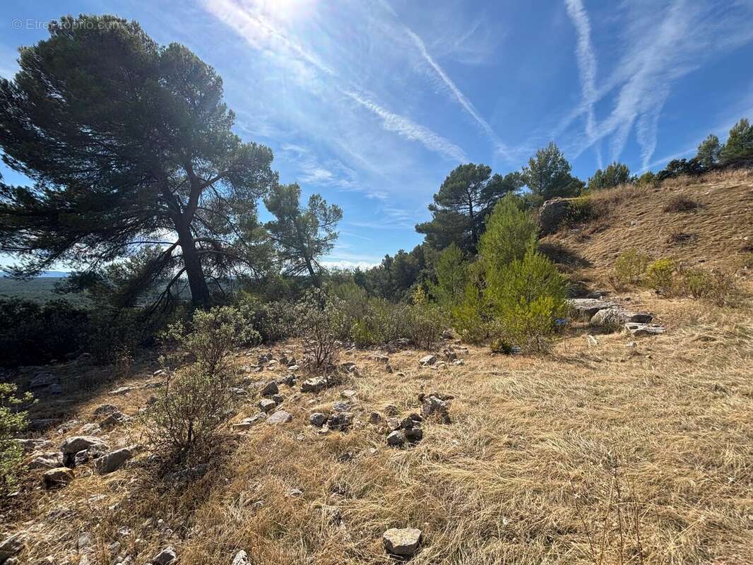 Figanières – terrain agricole et forestier de plus de 9 hectares - photo 8