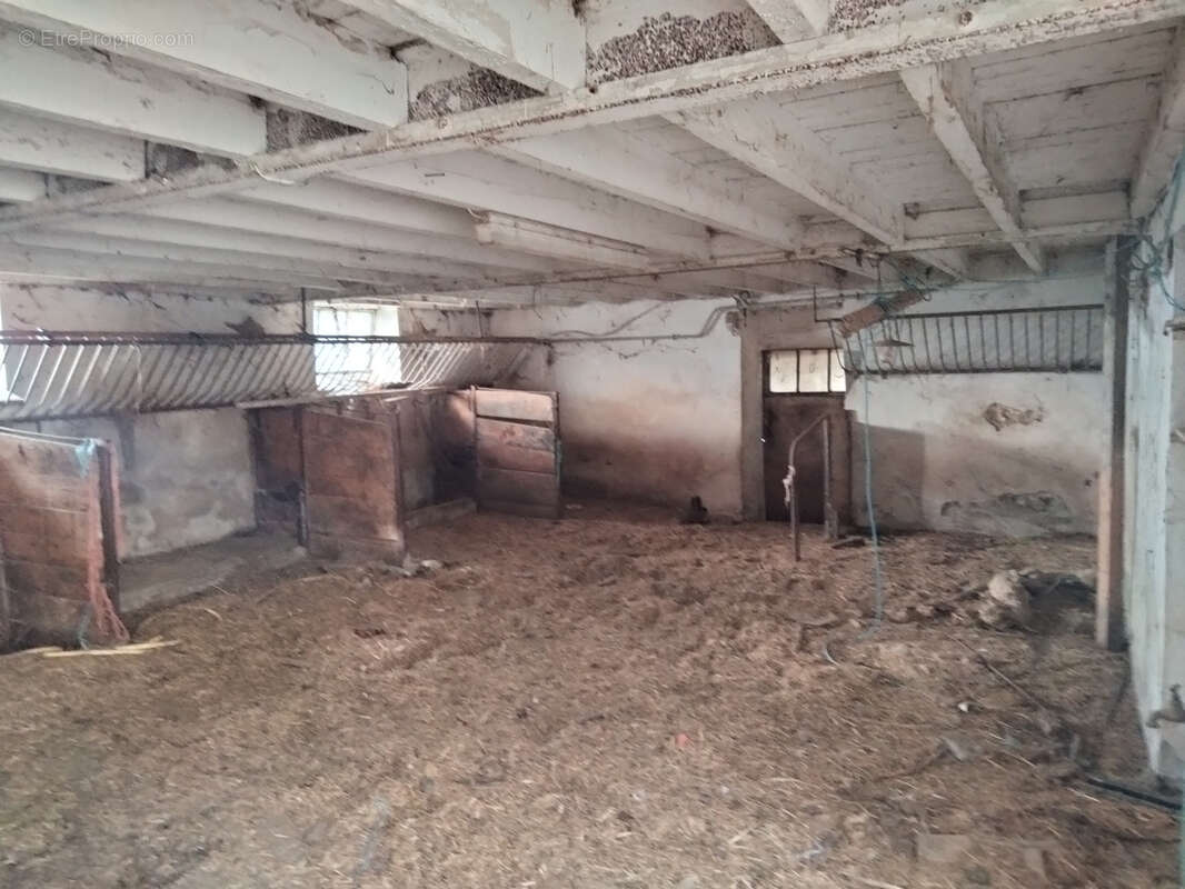 Maison à PANISSIERES