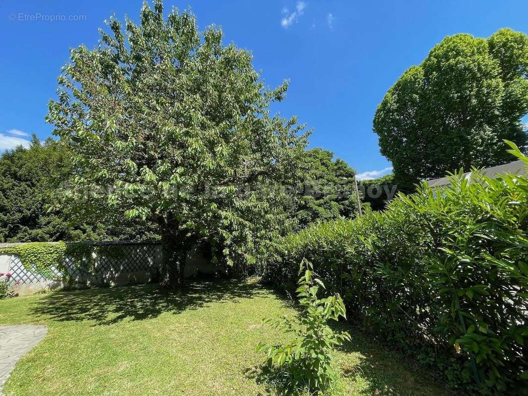 Jardin 1 - Maison à BRUNOY