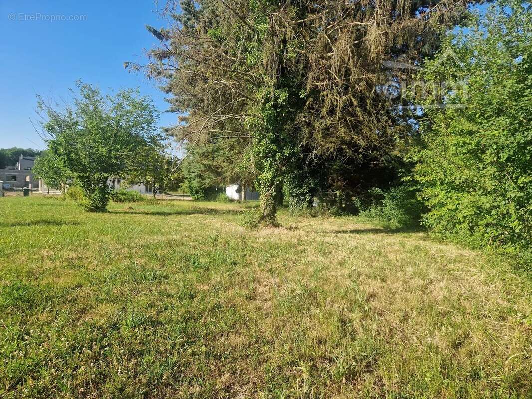 Terrain à SAVONNIERES