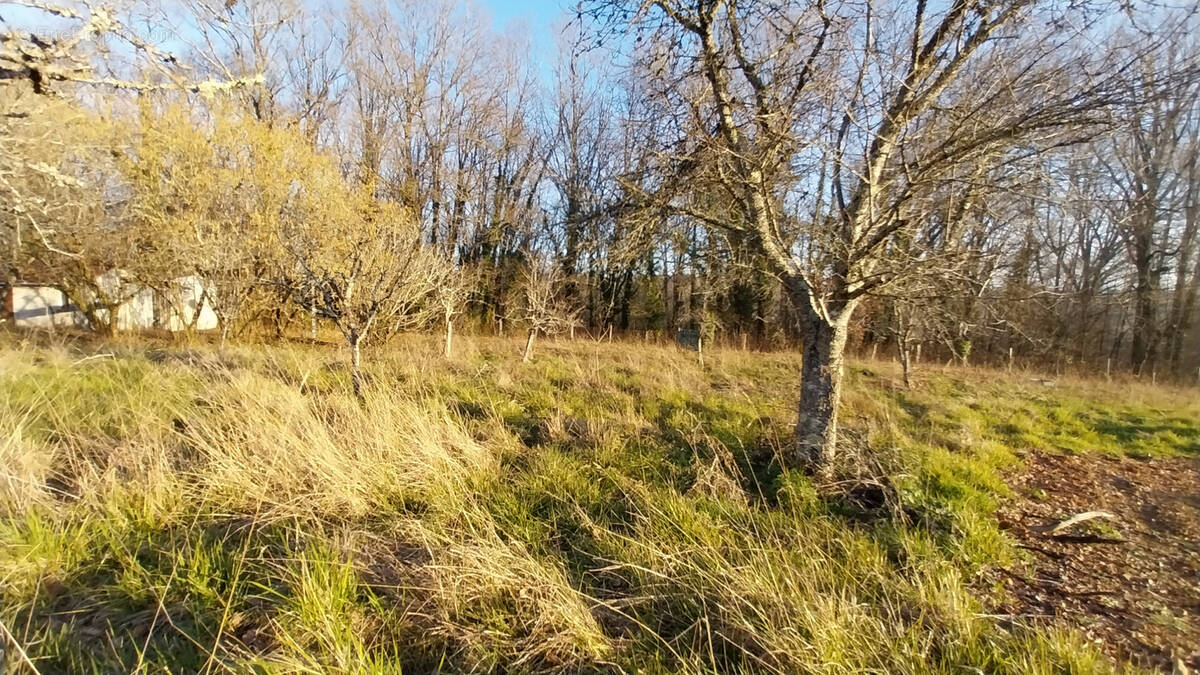 Terrain à CHATEAU-L'EVEQUE