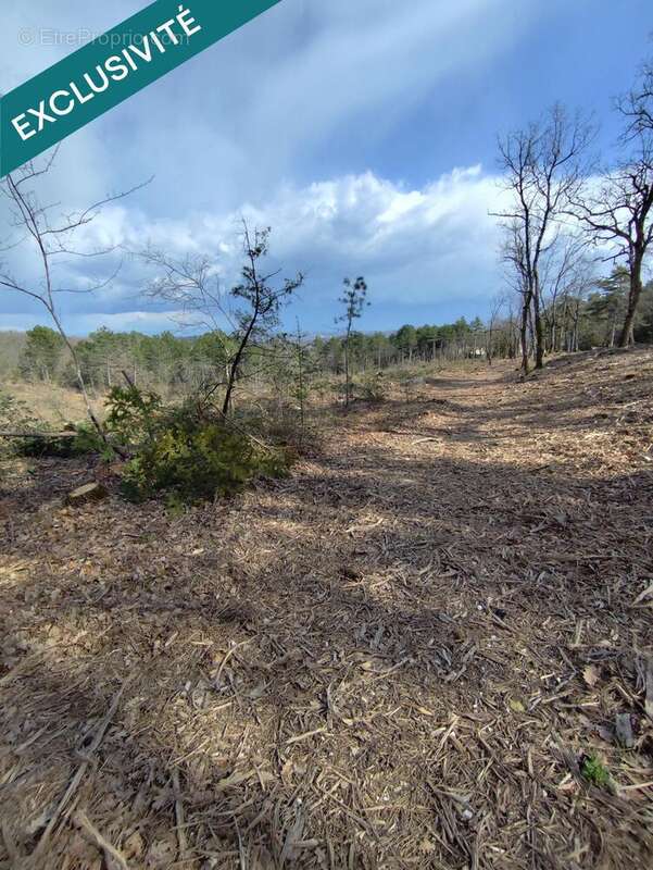 Photo 5 - Terrain à REILLANNE