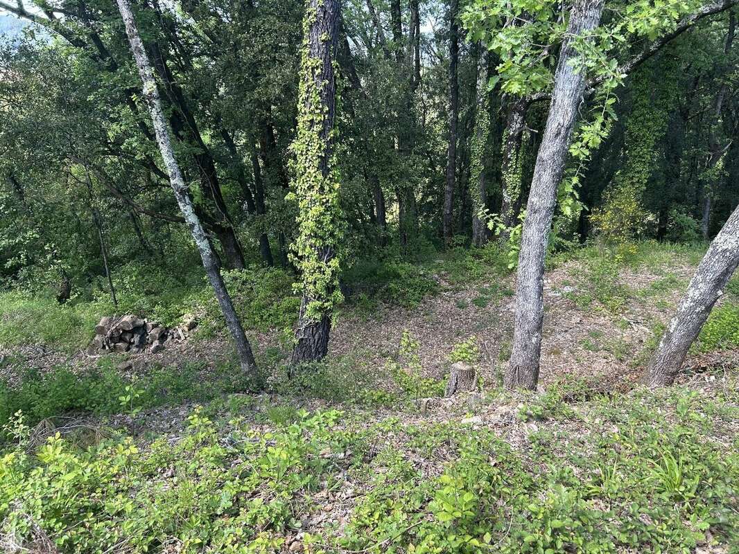 Terrain à SAINT-JEAN-DU-GARD