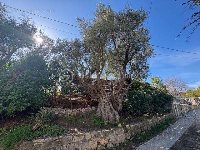 Maison à TOURRETTES