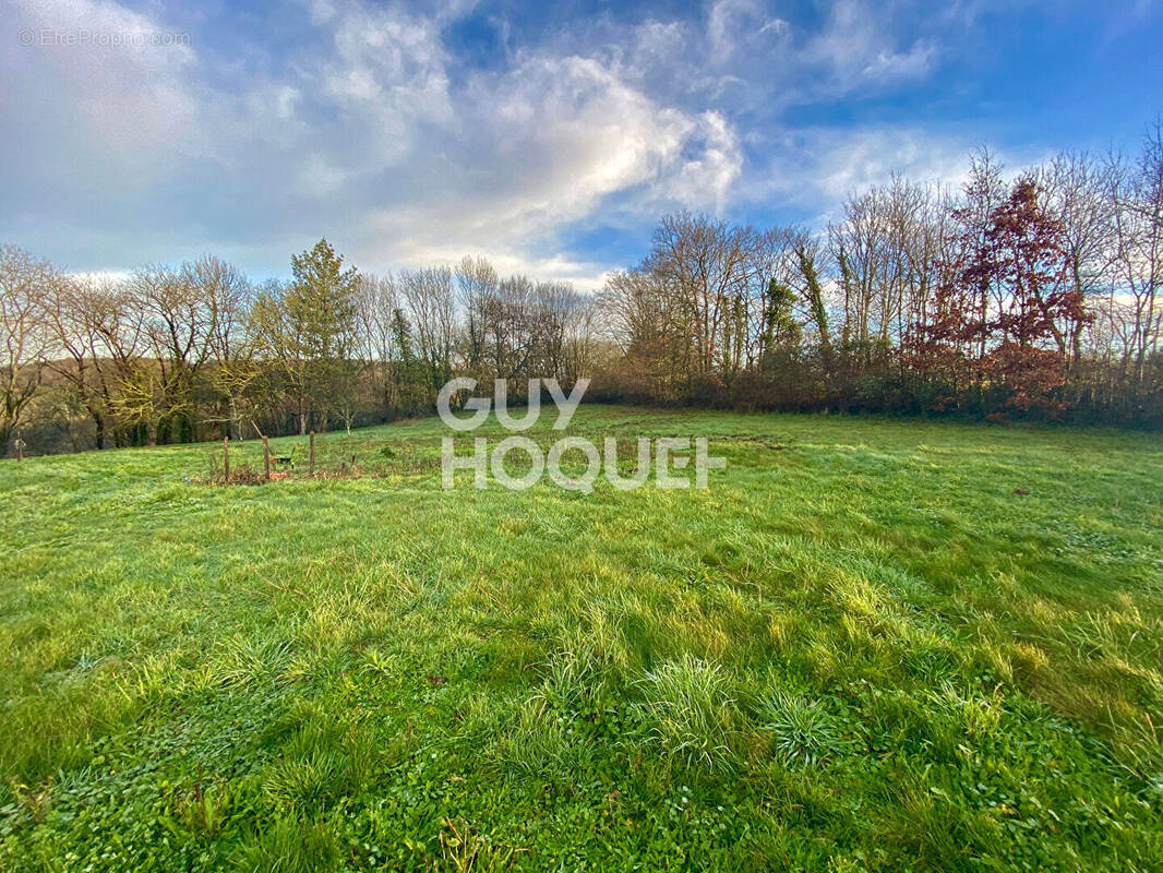Terrain à MERVENT