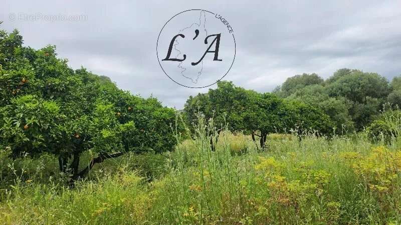 AFA – Terrain constructible de 1 270 m² – Vue campagne – Libre de constructeur - photo 4