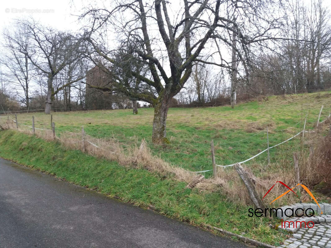 Terrain à VOLMUNSTER