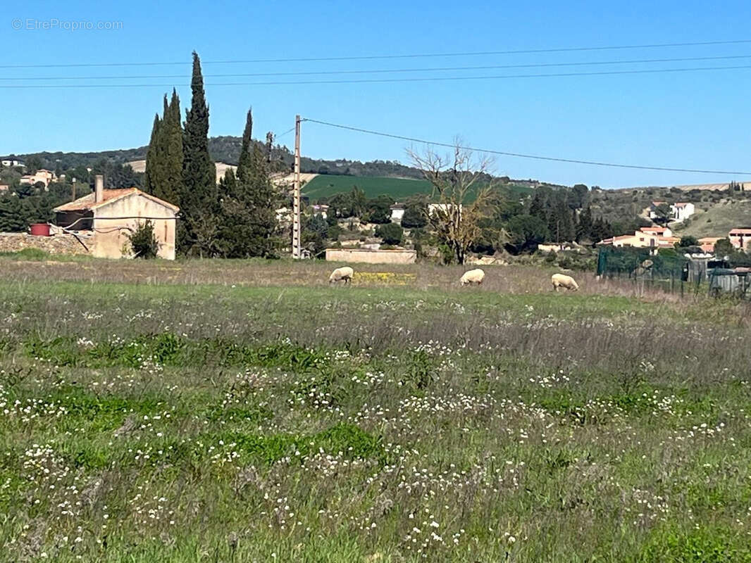 Terrain à LIMOUX