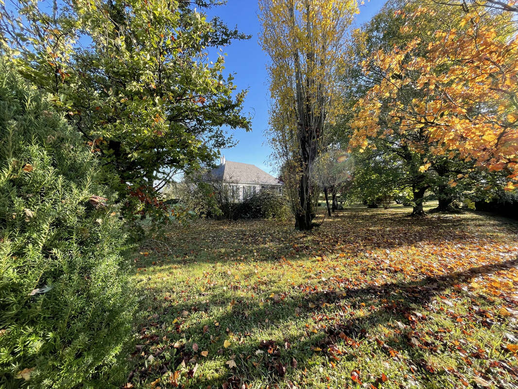 Maison à SAINT-GEREON