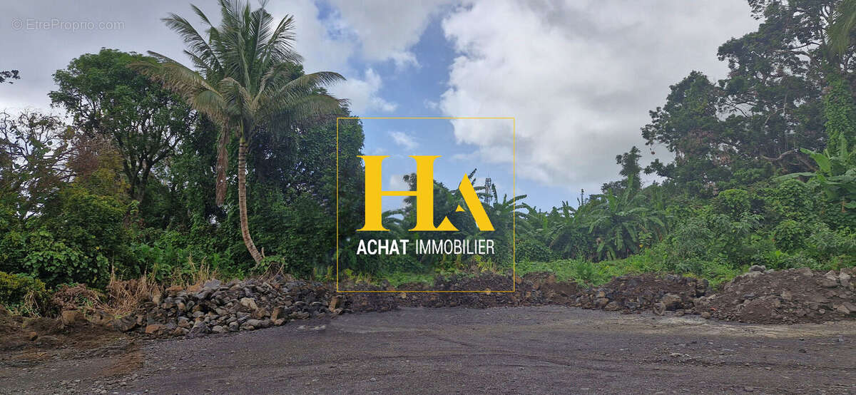 Terrain à SAINTE-ROSE