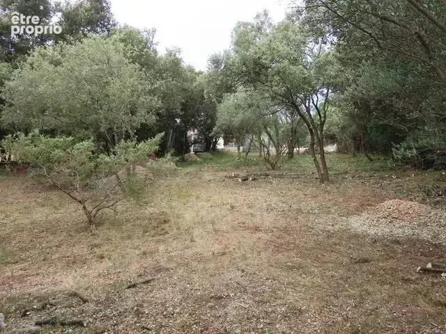 Terrain 2 630 m² à vendre à Uzes (30700) - photo 5