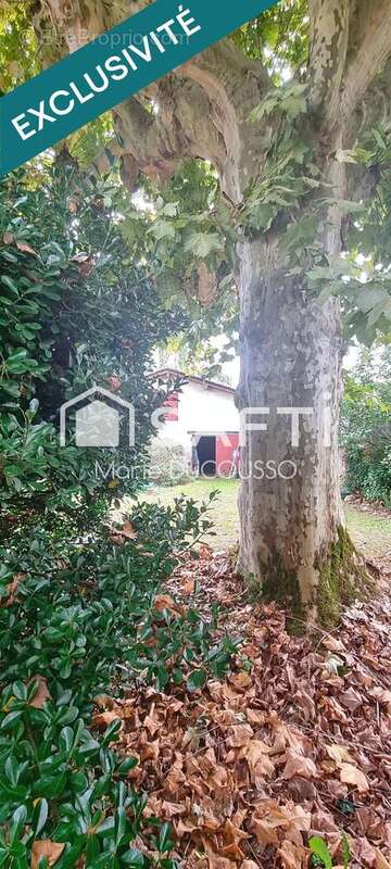 Photo 9 - Maison à CASTILLON-LA-BATAILLE